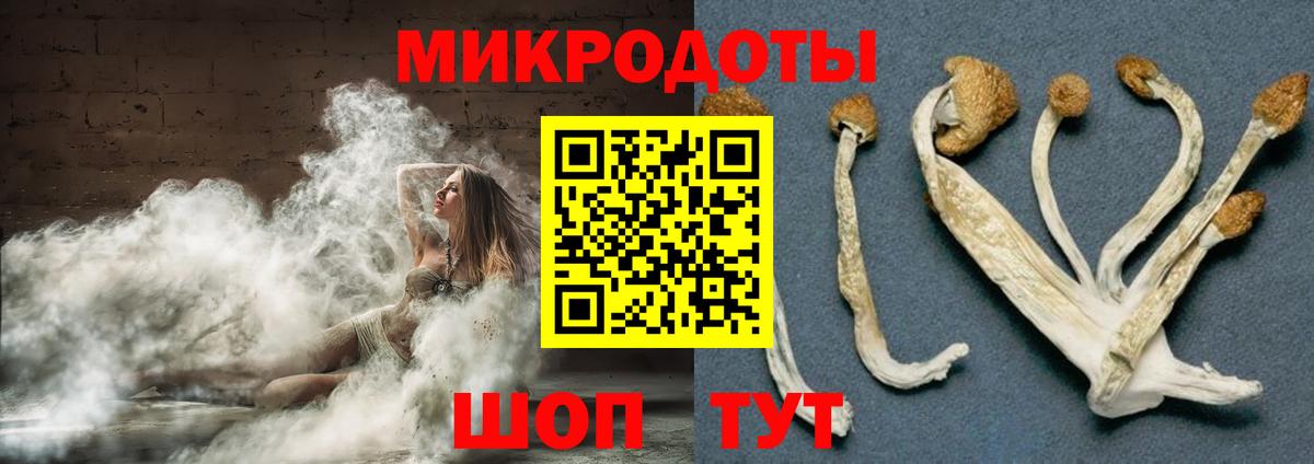 Псилоцибиновые грибы мицелий  Вход с VPN  Баксан 