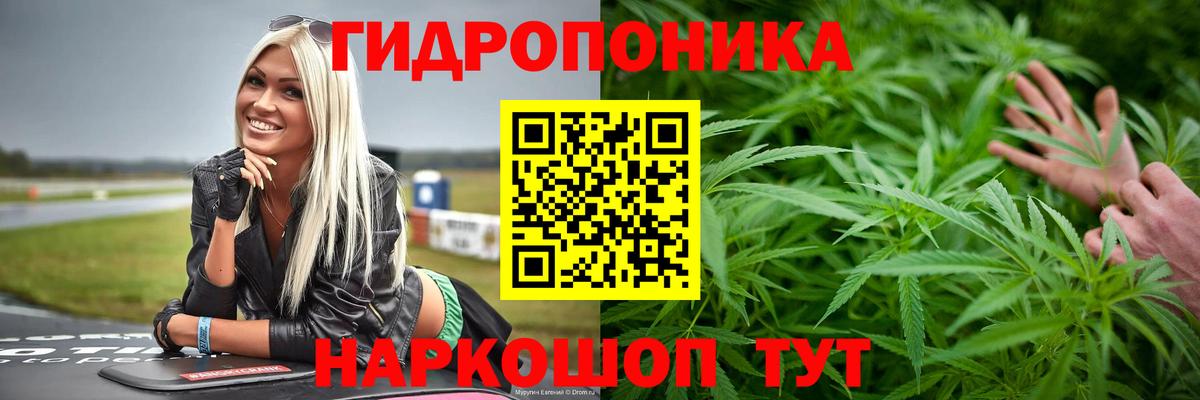 Каннабис OG Kush  Марихуана марихуана  Марихуана план  Вход с VPN  Баксан  Бошки Шишки SATIVA & INDICA 